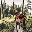 Motorová pila Stihl MS 400 C-M VW nová 2025